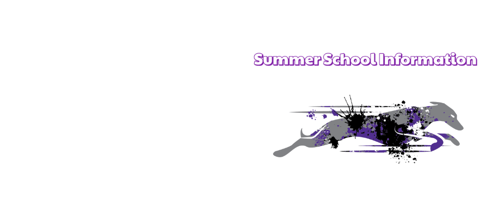  Summer School Information